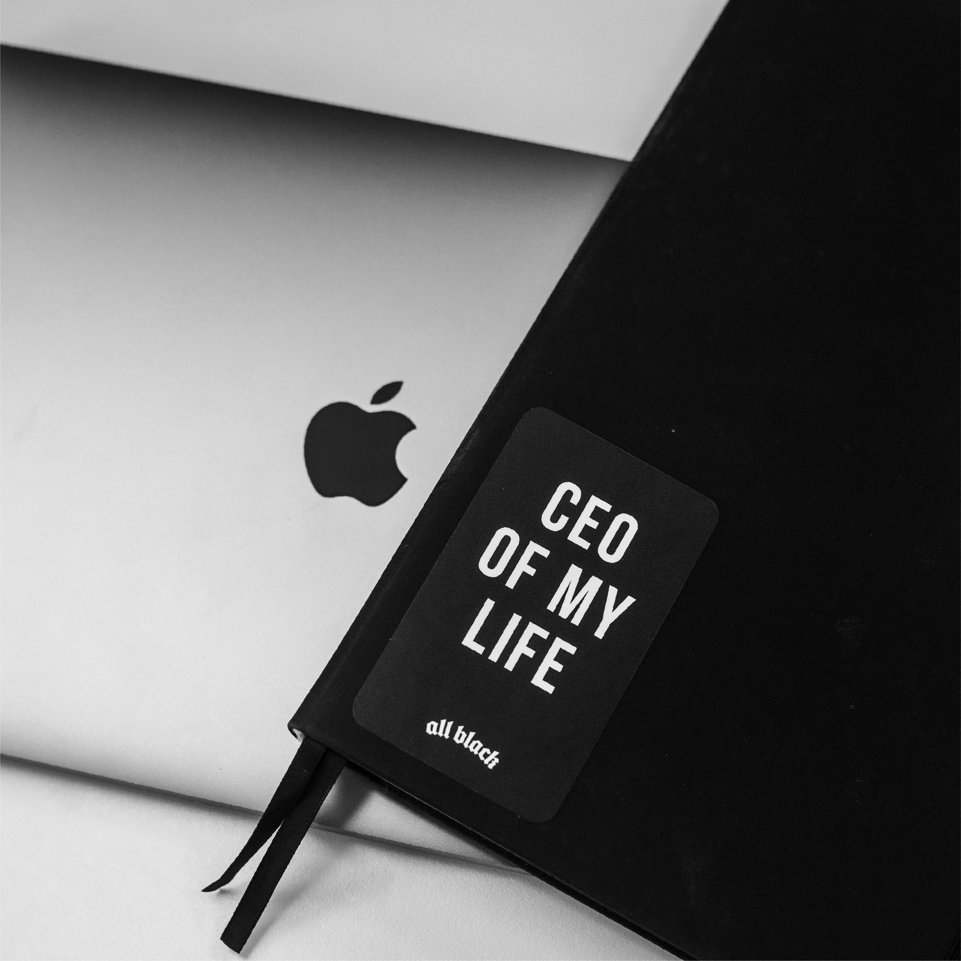 CEO OF MY LIFE Sticker (XL)